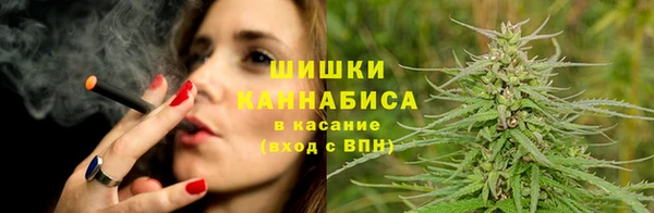 индика Лагань