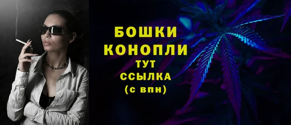 индика Лагань