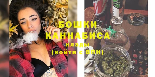 индика Лагань
