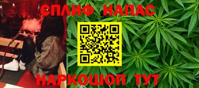 spice Брянск