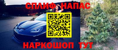 амф Боровичи