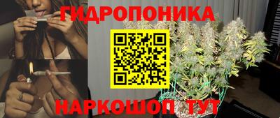 spice Брянск